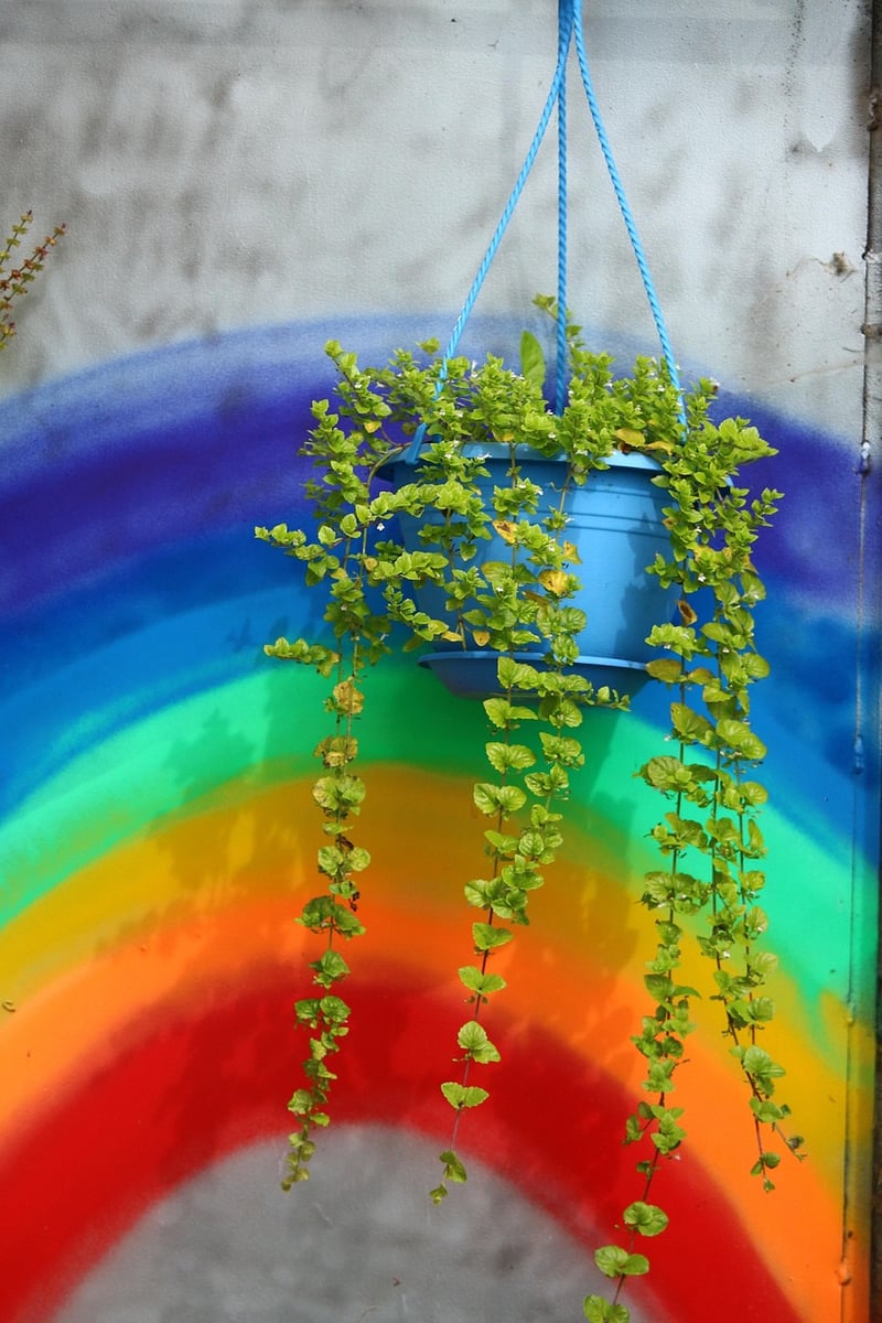Hanging Herb Garden